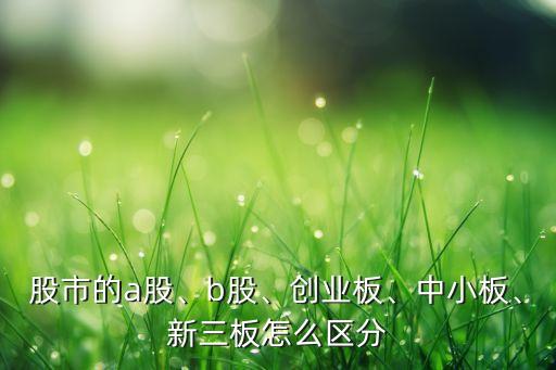 股市的a股、b股、創(chuàng)業(yè)板、中小板、新三板怎么區(qū)分