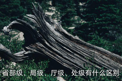 省部級(jí)、局級(jí)、廳級(jí)、處級(jí)有什么區(qū)別