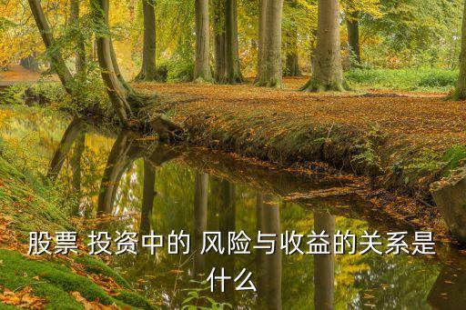 股票 投資中的 風險與收益的關系是什么