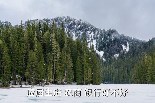 泉州農商銀行待遇