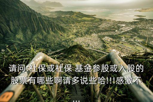 請(qǐng)問(wèn):社?；蛏绫?基金參股或入股的股票有哪些啊請(qǐng)多說(shuō)些哈!!!感激不...