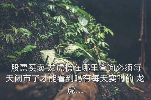  股票買(mǎi)賣(mài) 龍虎榜在哪里查詢必須每天閉市了才能看到嗎有每天實(shí)時(shí)的 龍虎...