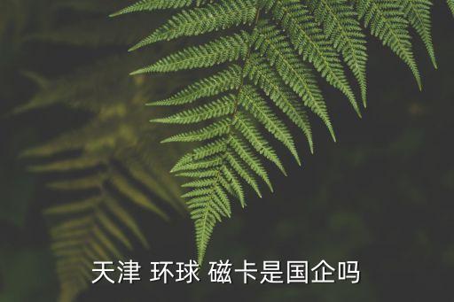 天津 環(huán)球 磁卡是國(guó)企嗎
