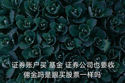 證券帳戶上買(mǎi)貨幣型基金手續(xù)費(fèi),證券賬戶買(mǎi)貨幣基金怎么看收益