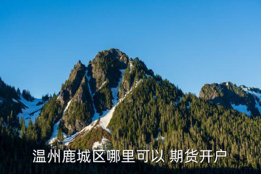 大越期貨有限公司余姚營業(yè)部,紹興大越期貨有限公司董事長(zhǎng)是誰