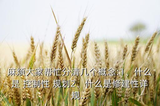 麻煩大家?guī)兔Ψ智鍘讉€(gè)概念:1、什么是 控制性 規(guī)劃2、什么是修建性詳規(guī)...