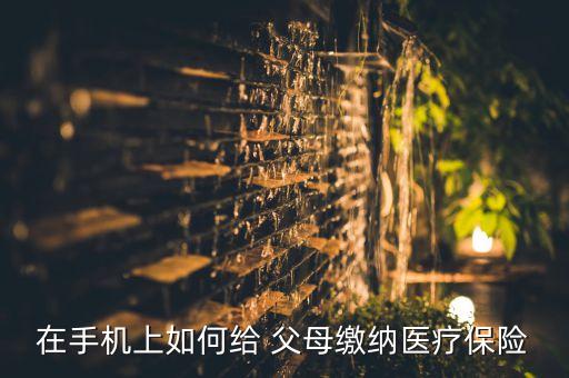 在手機(jī)上如何給 父母繳納醫(yī)療保險