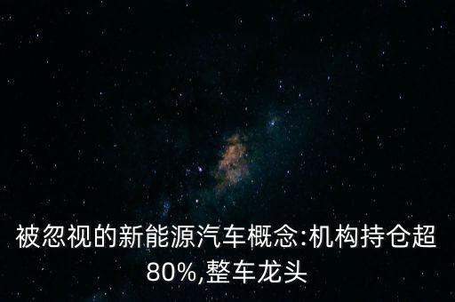 被忽視的新能源汽車概念:機(jī)構(gòu)持倉(cāng)超80%,整車龍頭