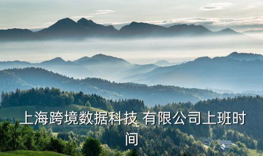  上?？缇硵?shù)據(jù)科技 有限公司上班時(shí)間