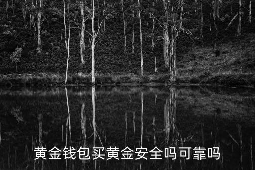 黃金錢(qián)包買(mǎi)黃金安全嗎可靠嗎