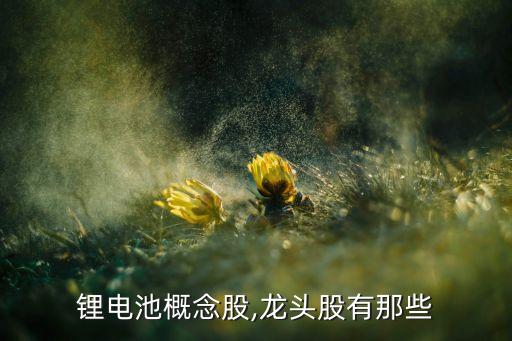 廣東核電集團(tuán)股票,中國(guó)廣東核電集團(tuán)有限公司招聘