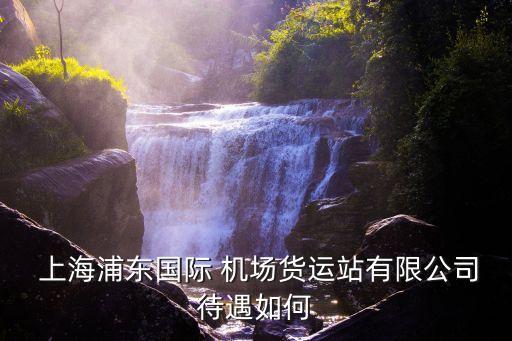  上海浦東國際 機場貨運站有限公司待遇如何