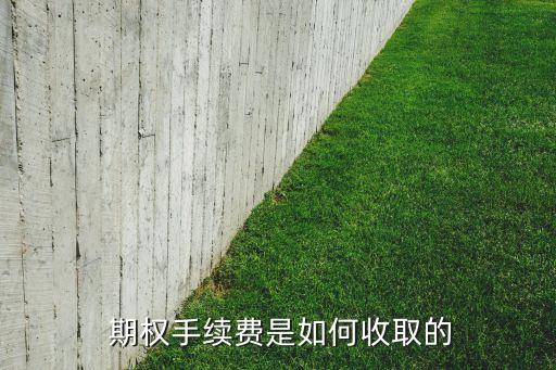 股票期權(quán)價值成本不由個人承擔嗎