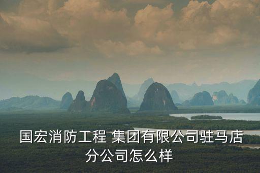  國宏消防工程 集團有限公司駐馬店分公司怎么樣