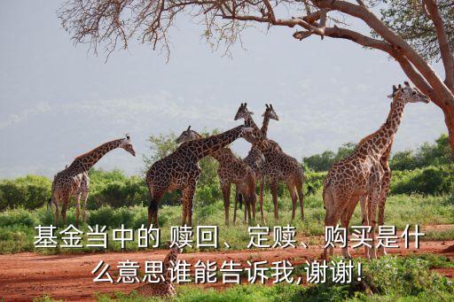  基金當(dāng)中的 贖回、定贖、購買是什么意思誰能告訴我,謝謝!