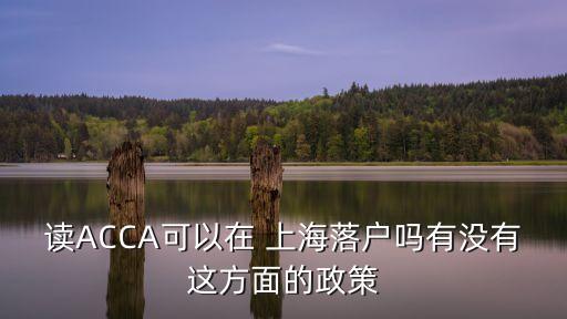 讀ACCA可以在 上海落戶嗎有沒(méi)有這方面的政策