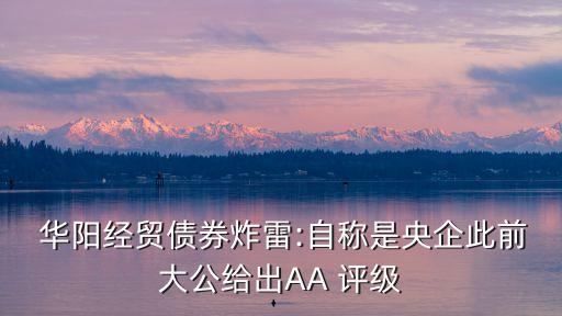  華陽經(jīng)貿(mào)債券炸雷:自稱是央企此前大公給出AA 評(píng)級(jí)