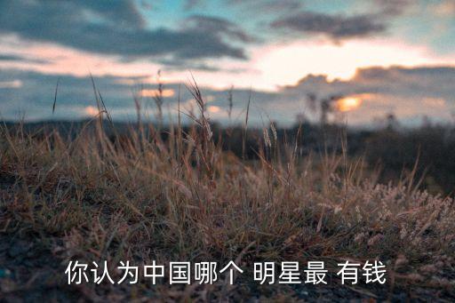 你認(rèn)為中國哪個 明星最 有錢