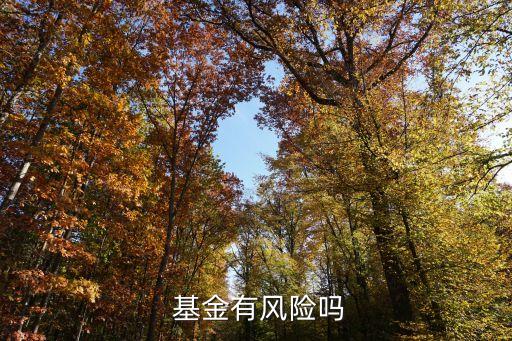  基金有風險嗎