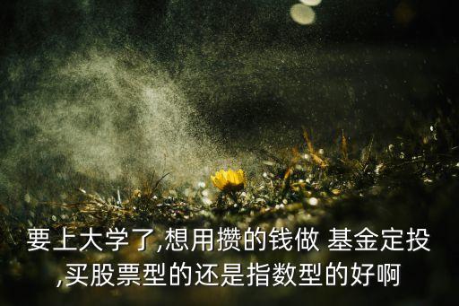 要上大學了,想用攢的錢做 基金定投,買股票型的還是指數(shù)型的好啊
