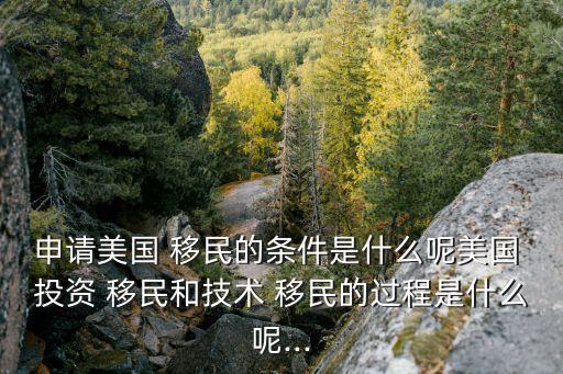 申請(qǐng)美國(guó) 移民的條件是什么呢美國(guó) 投資 移民和技術(shù) 移民的過(guò)程是什么呢...