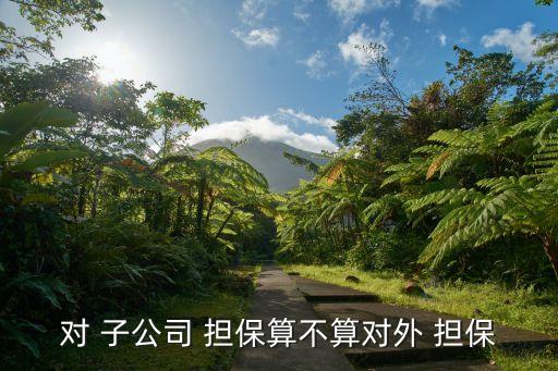 對 子公司 擔保算不算對外 擔保