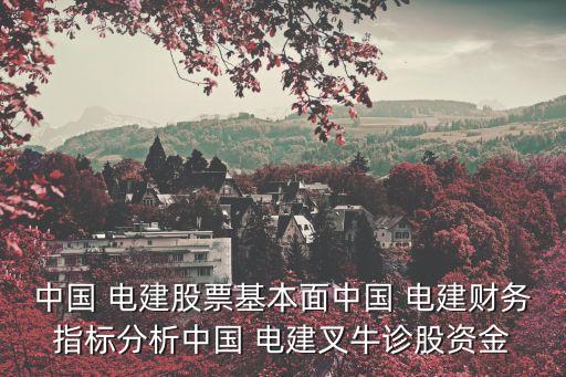 中國 電建股票基本面中國 電建財(cái)務(wù)指標(biāo)分析中國 電建叉牛診股資金