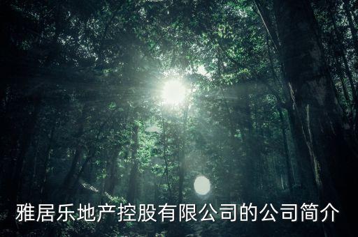 雅居樂地產(chǎn)控股有限公司的公司簡介