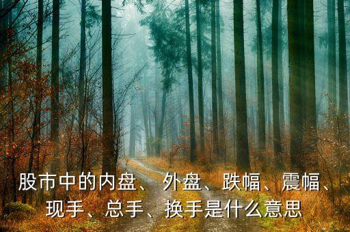 股市中的內(nèi)盤(pán)、 外盤(pán)、跌幅、震幅、現(xiàn)手、總手、換手是什么意思