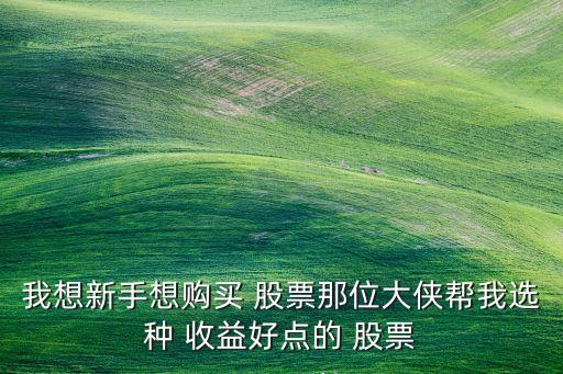 我想新手想購(gòu)買(mǎi) 股票那位大俠幫我選種 收益好點(diǎn)的 股票
