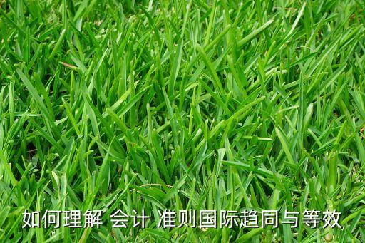 如何理解 會(huì)計(jì) 準(zhǔn)則國際趨同與等效