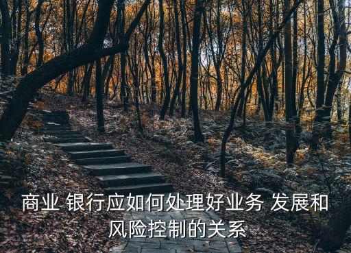 銀行發(fā)展與風險,銀行全面風險管理