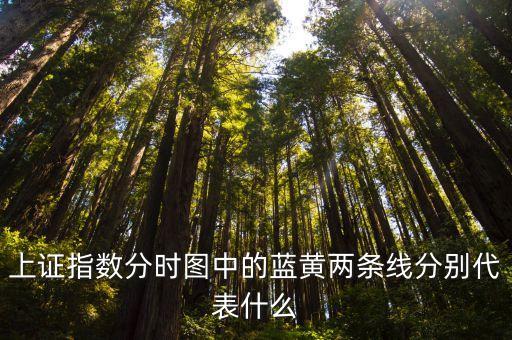上證指數(shù)分時(shí)圖中的藍(lán)黃兩條線(xiàn)分別代表什么