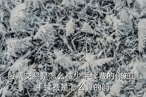  股票交易是怎么減少手續(xù)費(fèi)的你知道手續(xù)費(fèi)是怎么算的嗎