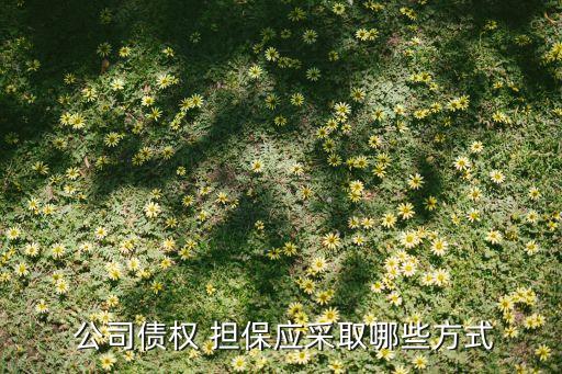  公司債權(quán) 擔保應(yīng)采取哪些方式