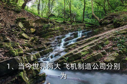 1、當今世界兩大 飛機制造公司分別為