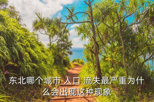 東北哪個城市 人口 流失最嚴重為什么會出現(xiàn)這種現(xiàn)象