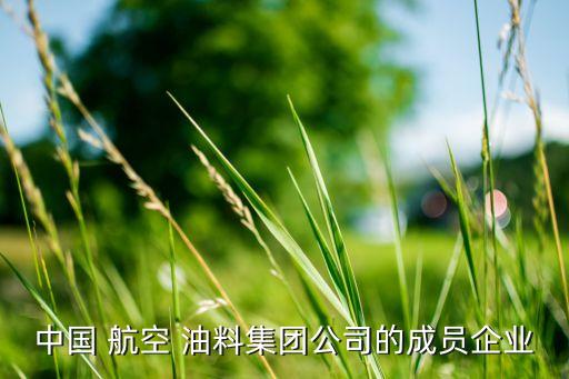 中國航空油料有限責任公司華東分公司