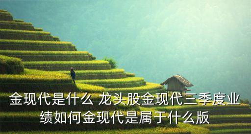 金現(xiàn)代是什么 龍頭股金現(xiàn)代三季度業(yè)績(jī)?nèi)绾谓瓞F(xiàn)代是屬于什么版