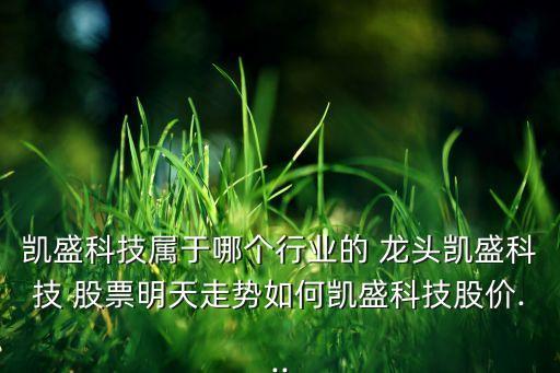 凱盛科技屬于哪個(gè)行業(yè)的 龍頭凱盛科技 股票明天走勢(shì)如何凱盛科技股價(jià)...