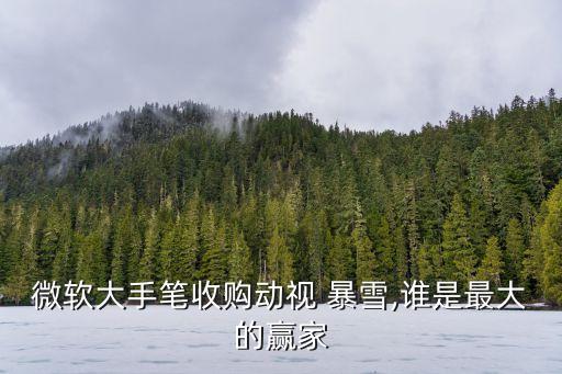 微軟大手筆收購(gòu)動(dòng)視 暴雪,誰(shuí)是最大的贏家