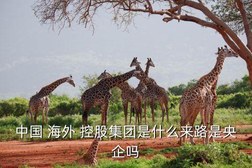 中國 海外 控股集團是什么來路是央企嗎