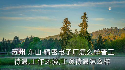  蘇州 東山 精密電子廠(chǎng)怎么樣普工待遇,工作環(huán)境,工資待遇怎么樣