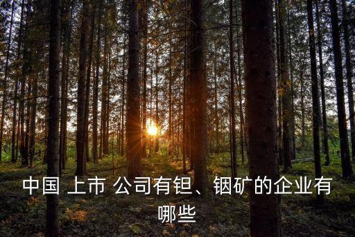 中國(guó) 上市 公司有鉭、銦礦的企業(yè)有哪些