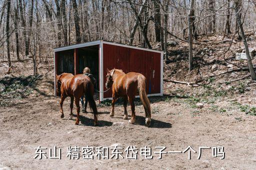  東山 精密和東岱電子一個(gè)廠(chǎng)嗎