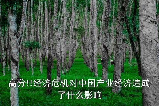 高分!!經(jīng)濟危機對中國產(chǎn)業(yè)經(jīng)濟造成了什么影響