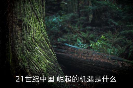 21世紀(jì)中國 崛起的機(jī)遇是什么