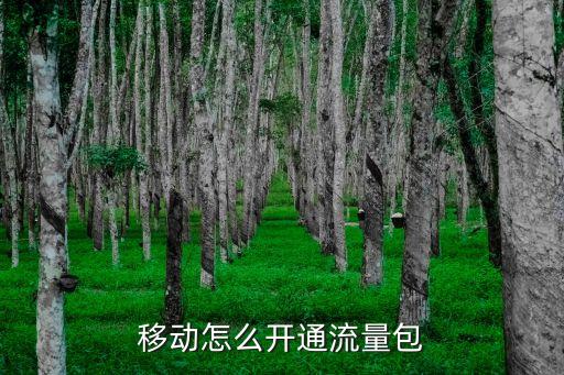 移動怎么開通流量包