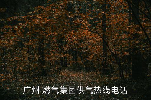 國興燃?xì)庥邢薰?江蘇國興建設(shè)項目管理有限公司