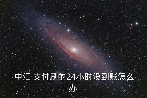  中匯 支付刷的24小時(shí)沒(méi)到賬怎么辦